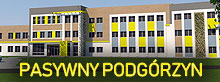 pasywny