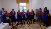 Szafiry na wystepie dla Seniorow w Domu Pomocy Społeczej w Sosnówce  (4) mini