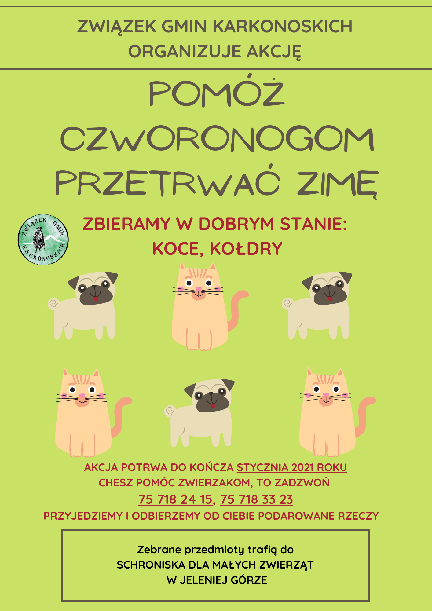 Pomoz Czworonogom Przetrwac Zimę Plakat