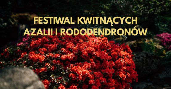 Festiwal Kwitnących Azalii i Rododendronów