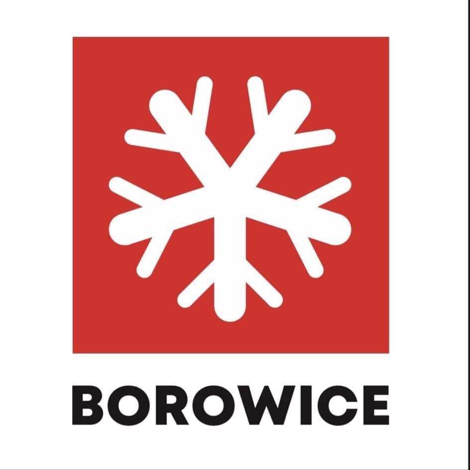 Borowice Logo