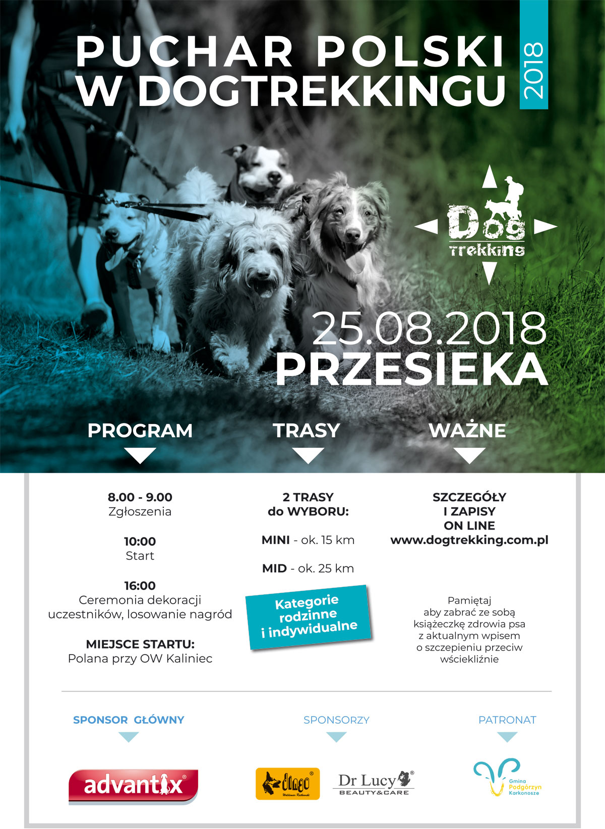 plakat Przesieka A3 druk